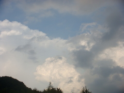 �{���Č����L