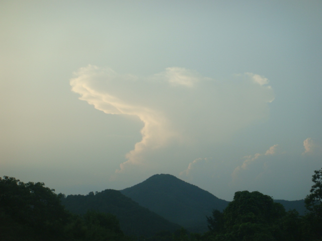 �{���Č����L