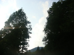 �{���Č����L