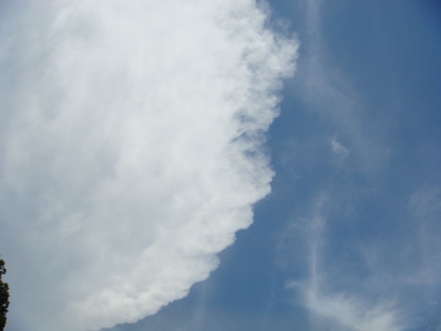 �{���Č����L