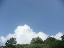 �{���Č����L