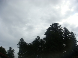 �{���Č����L