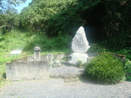 �{���Č����L