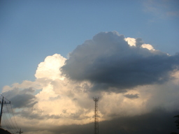 �{���Č����L