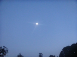 �{���Č����L