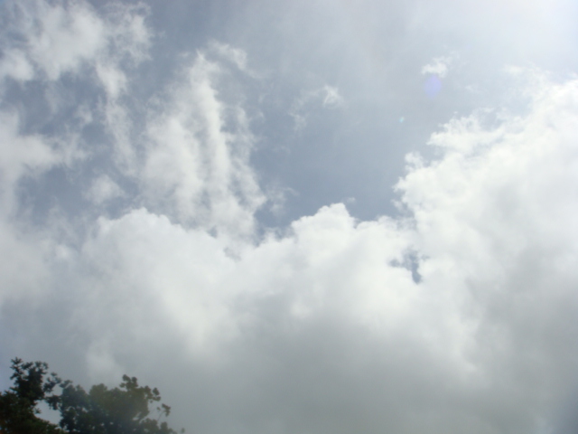 �{���Č����L