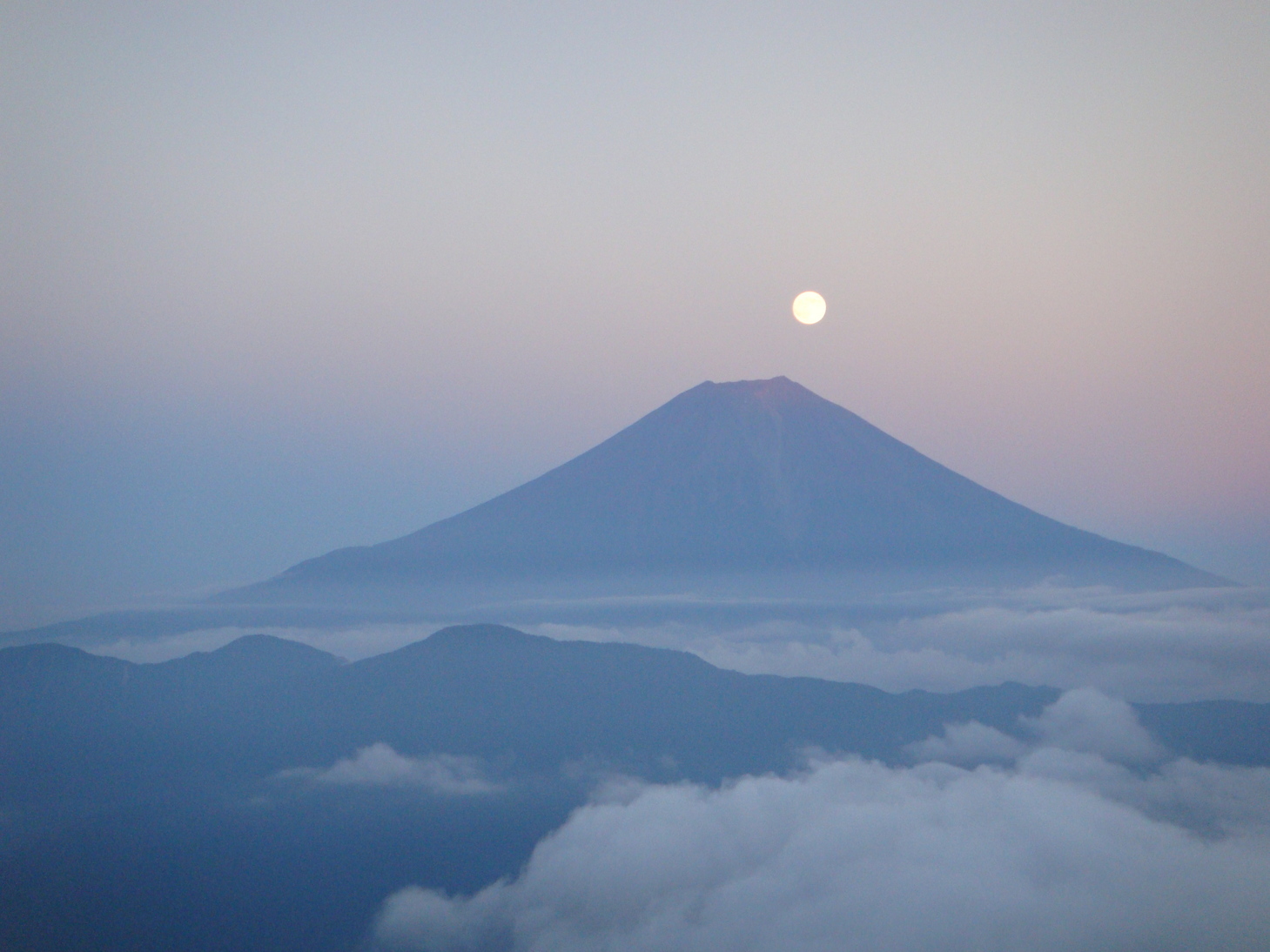 �{���Č����L