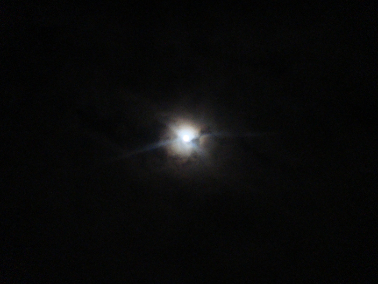 �{���Č����L