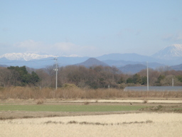 �{���Č����L