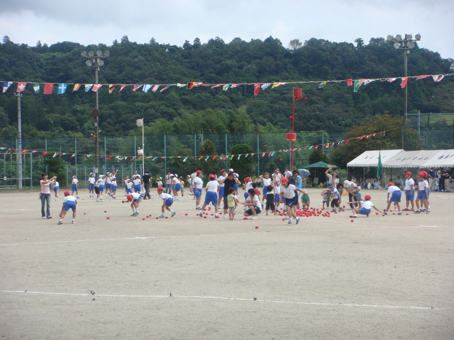 �{���Č����L