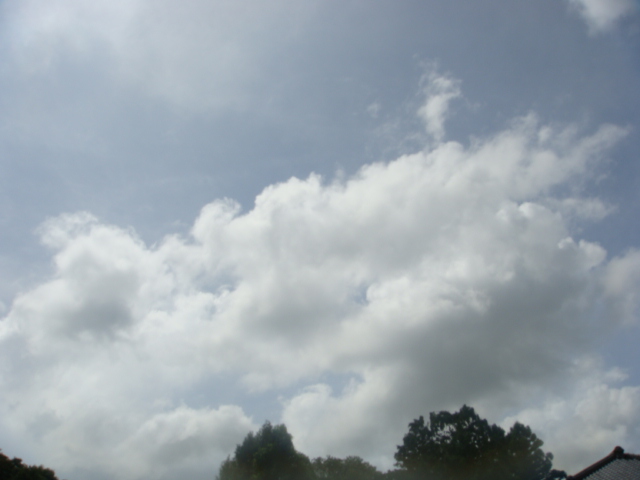 �{���Č����L