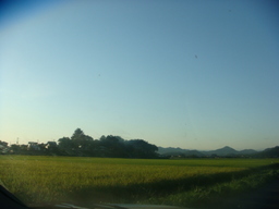 �{���Č����L