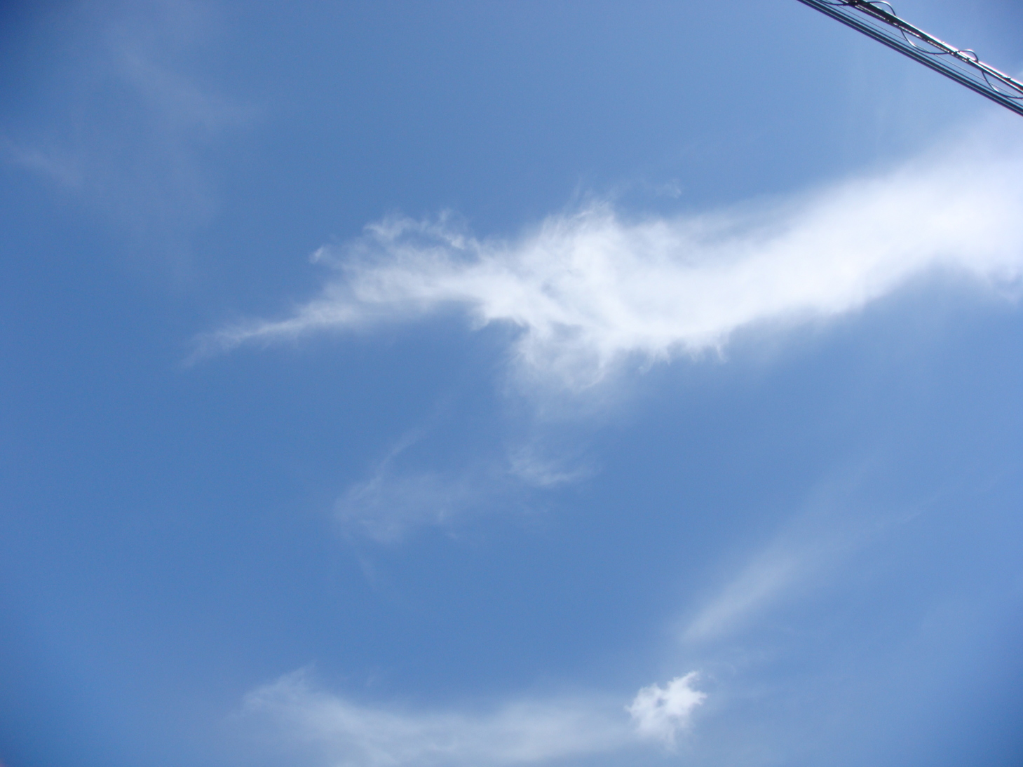 �{���Č����L