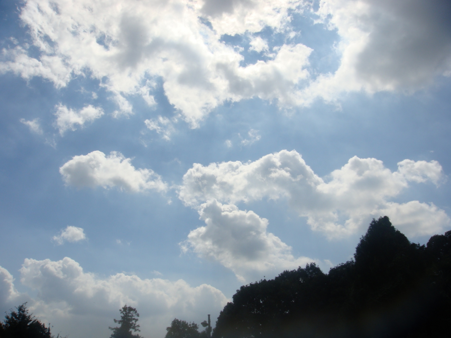 �{���Č����L