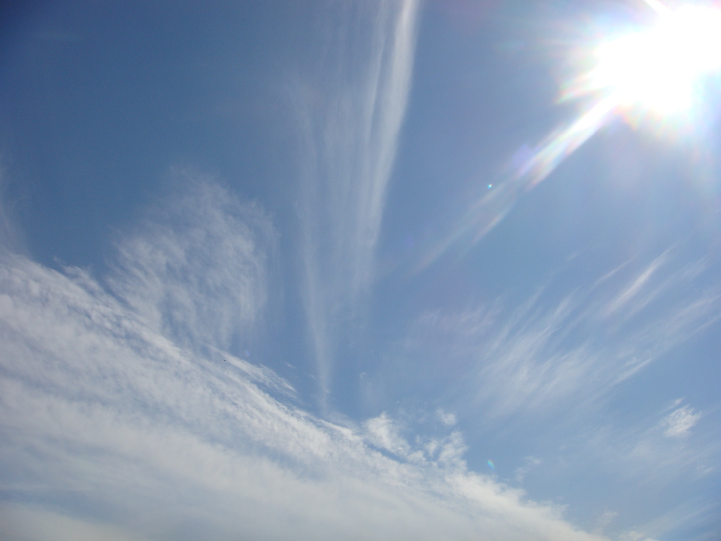 �{���Č����L