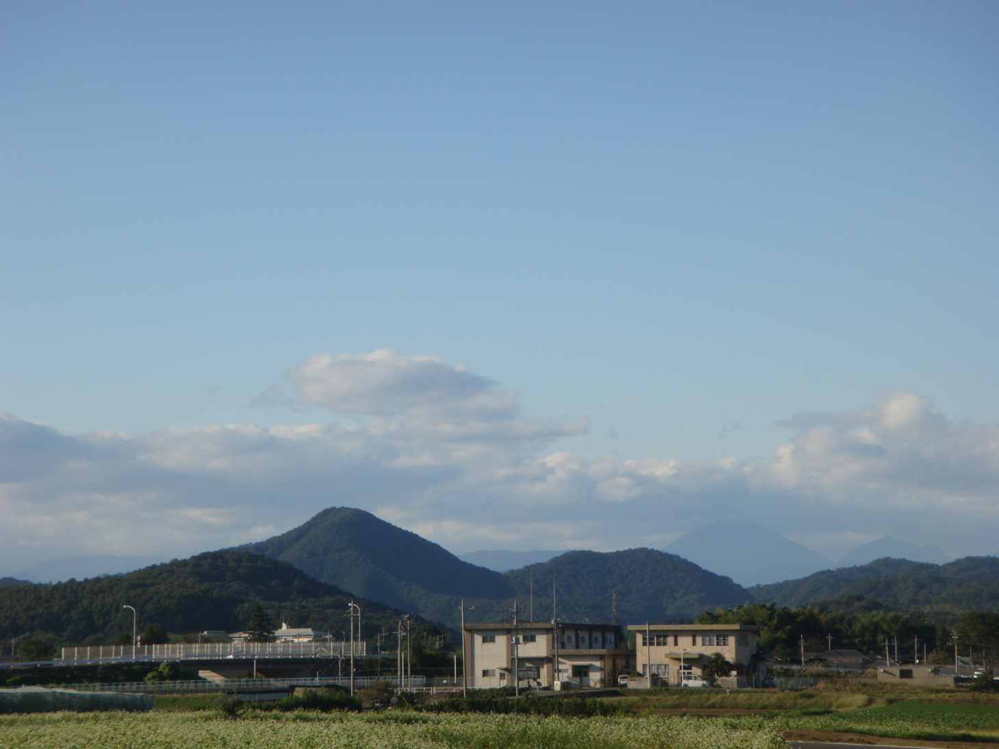 �{���Č����L