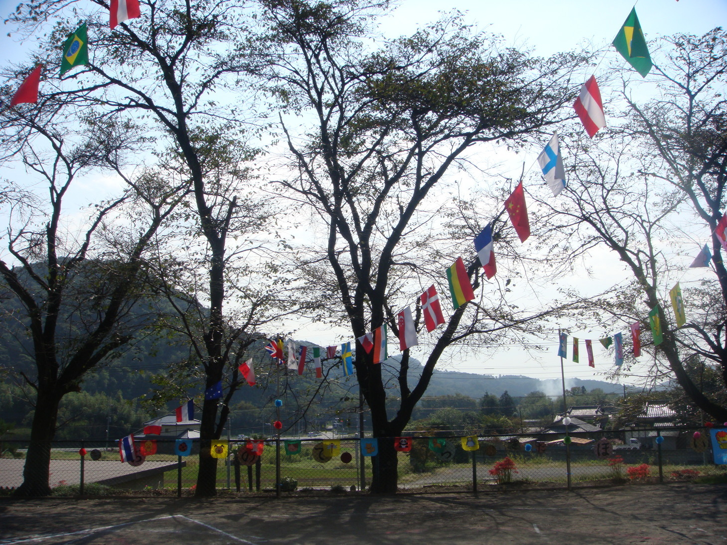 �{���Č����L