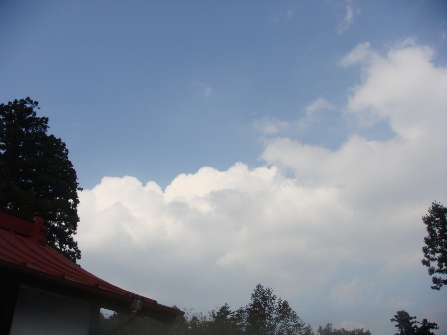 �{���Č����L