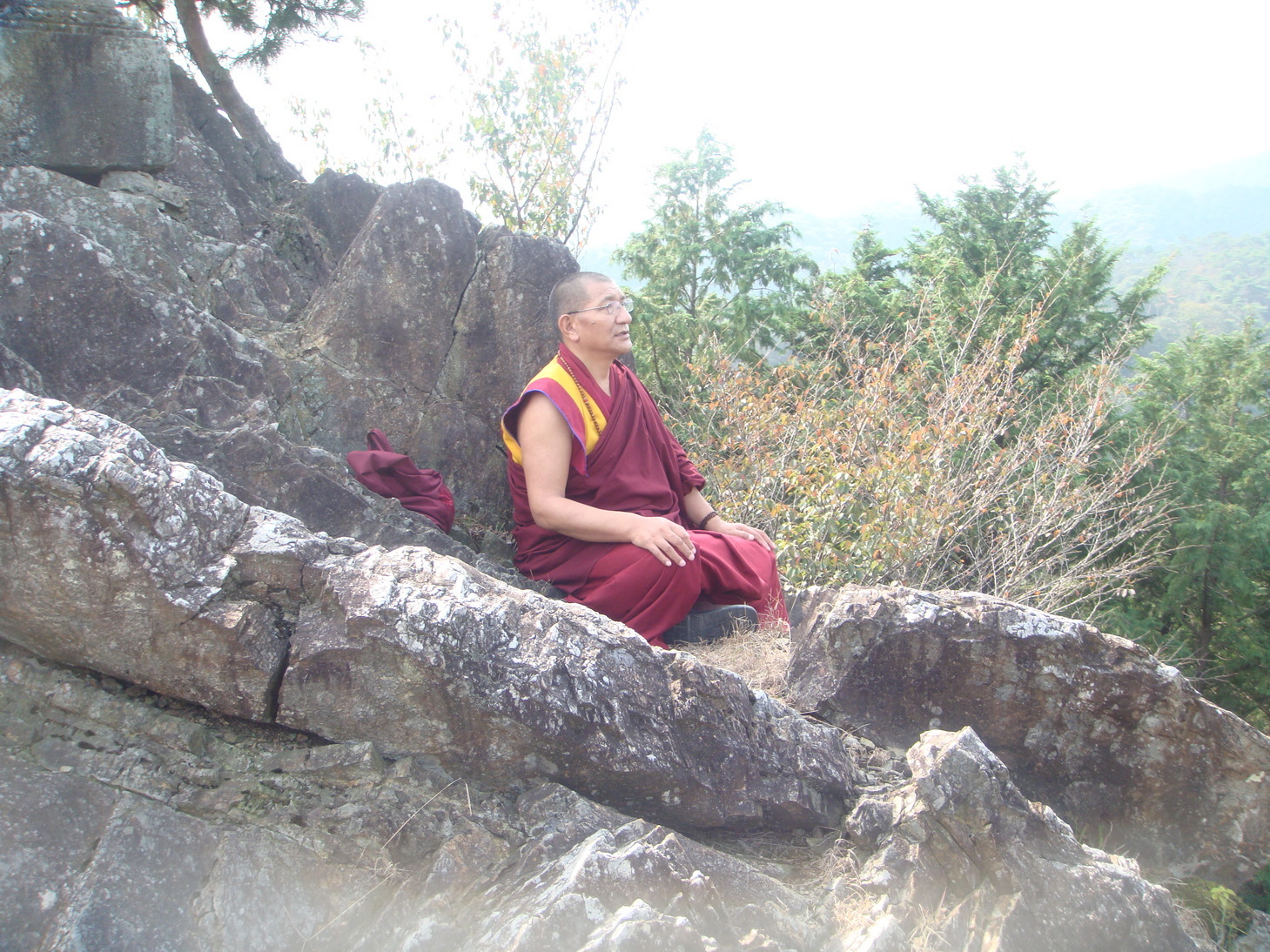 �{���Č����L