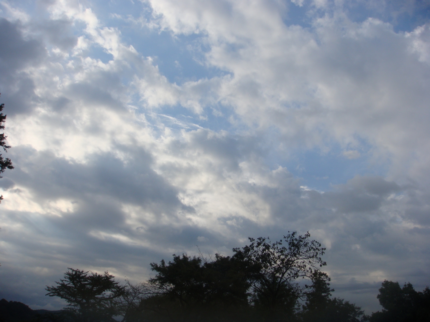 �{���Č����L