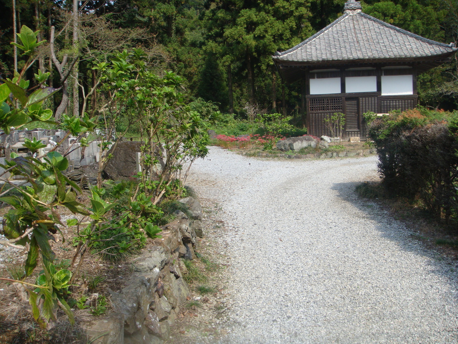 �{���Č����L