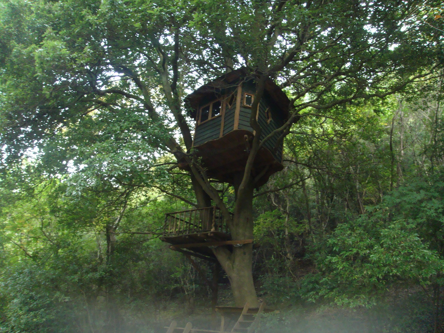 �{���Č����L