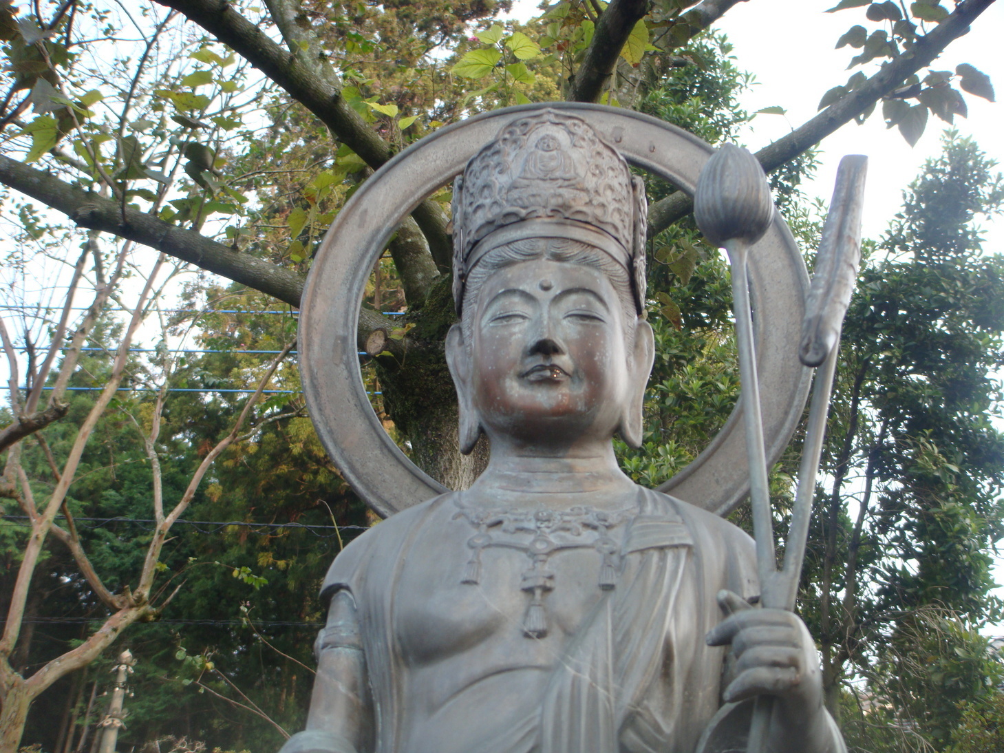 �{���Č����L