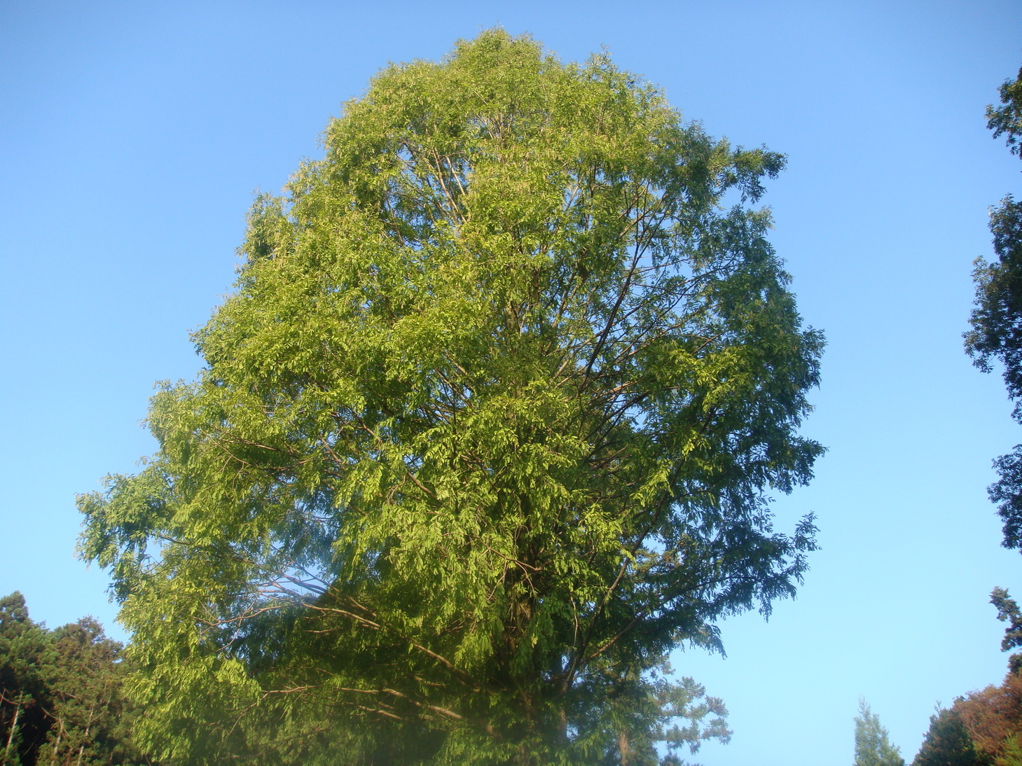 �{���Č����L