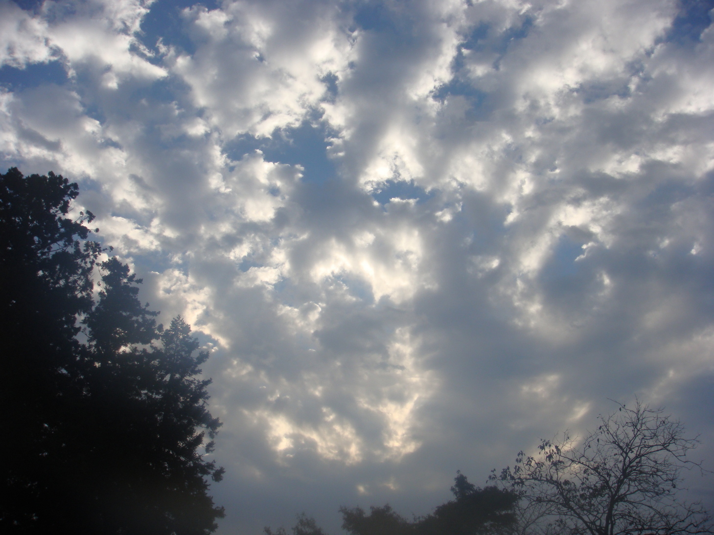 �{���Č����L