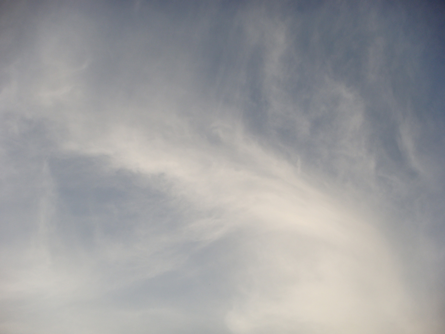 �{���Č����L