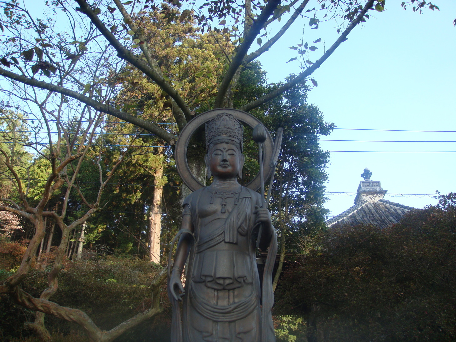 �{���Č����L