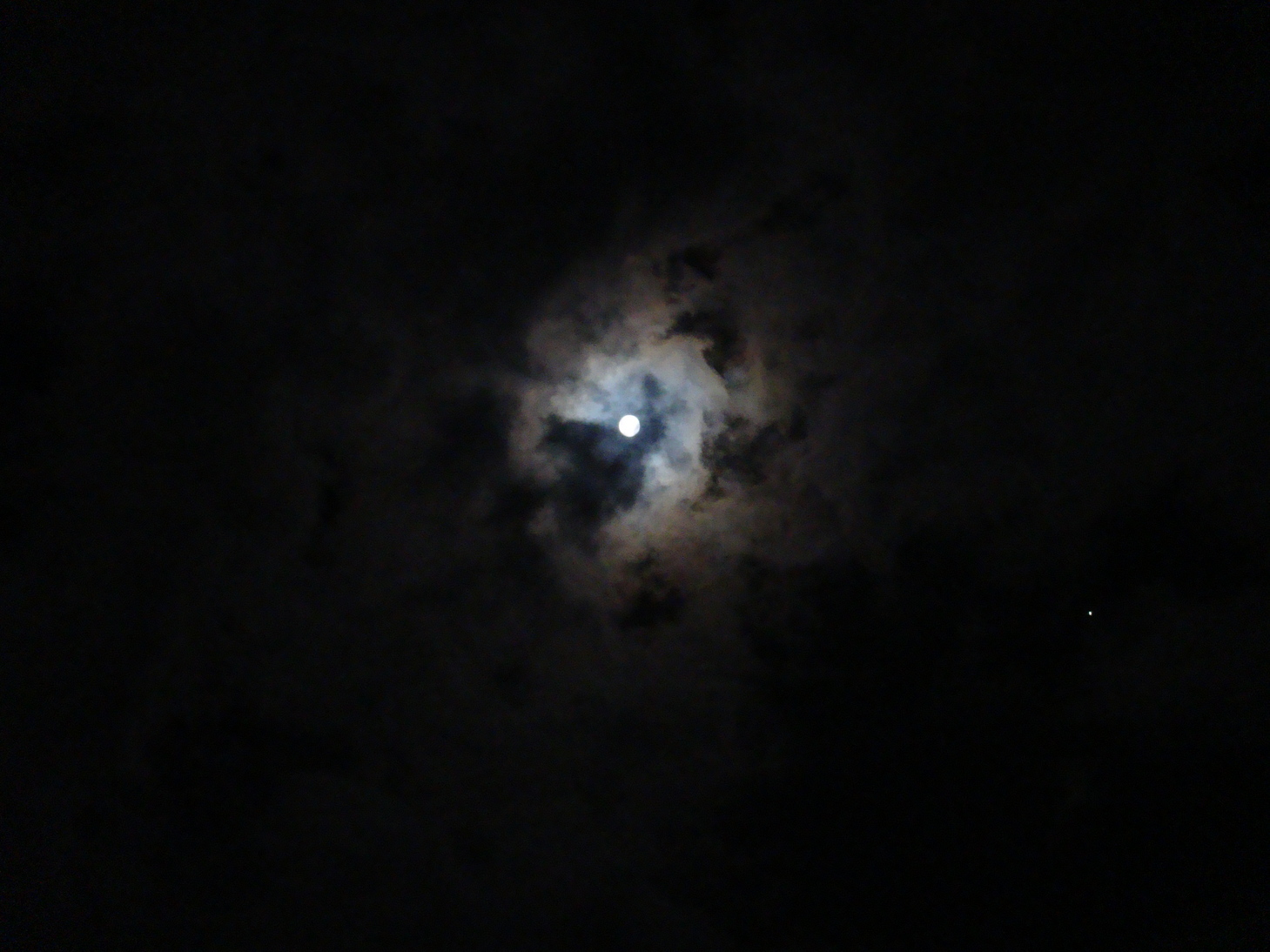 �{���Č����L