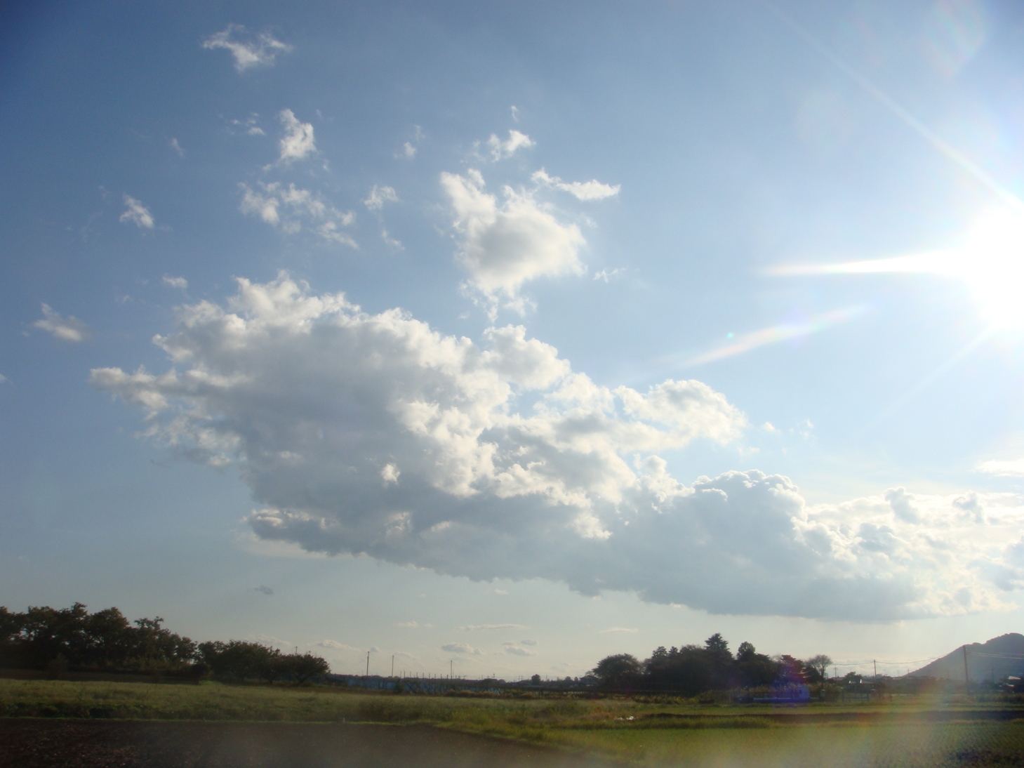 �{���Č����L