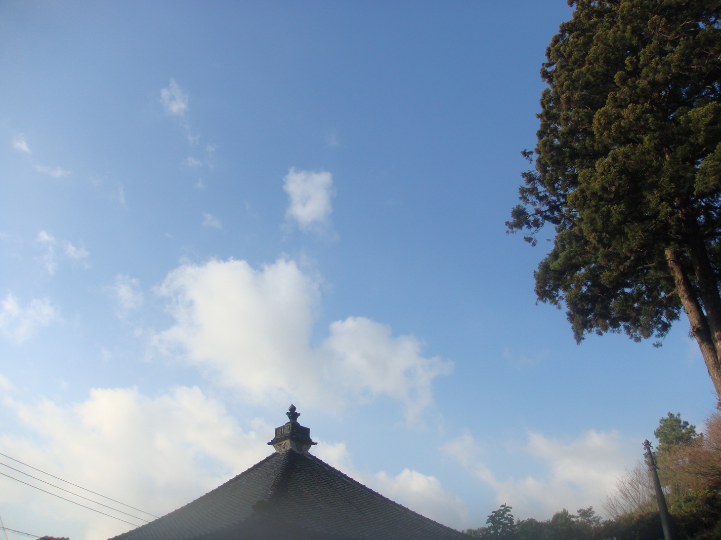 �{���Č����L