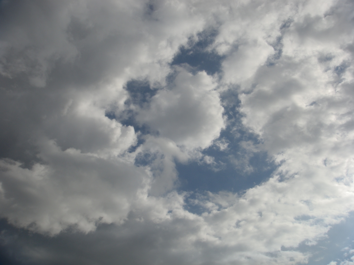 �{���Č����L