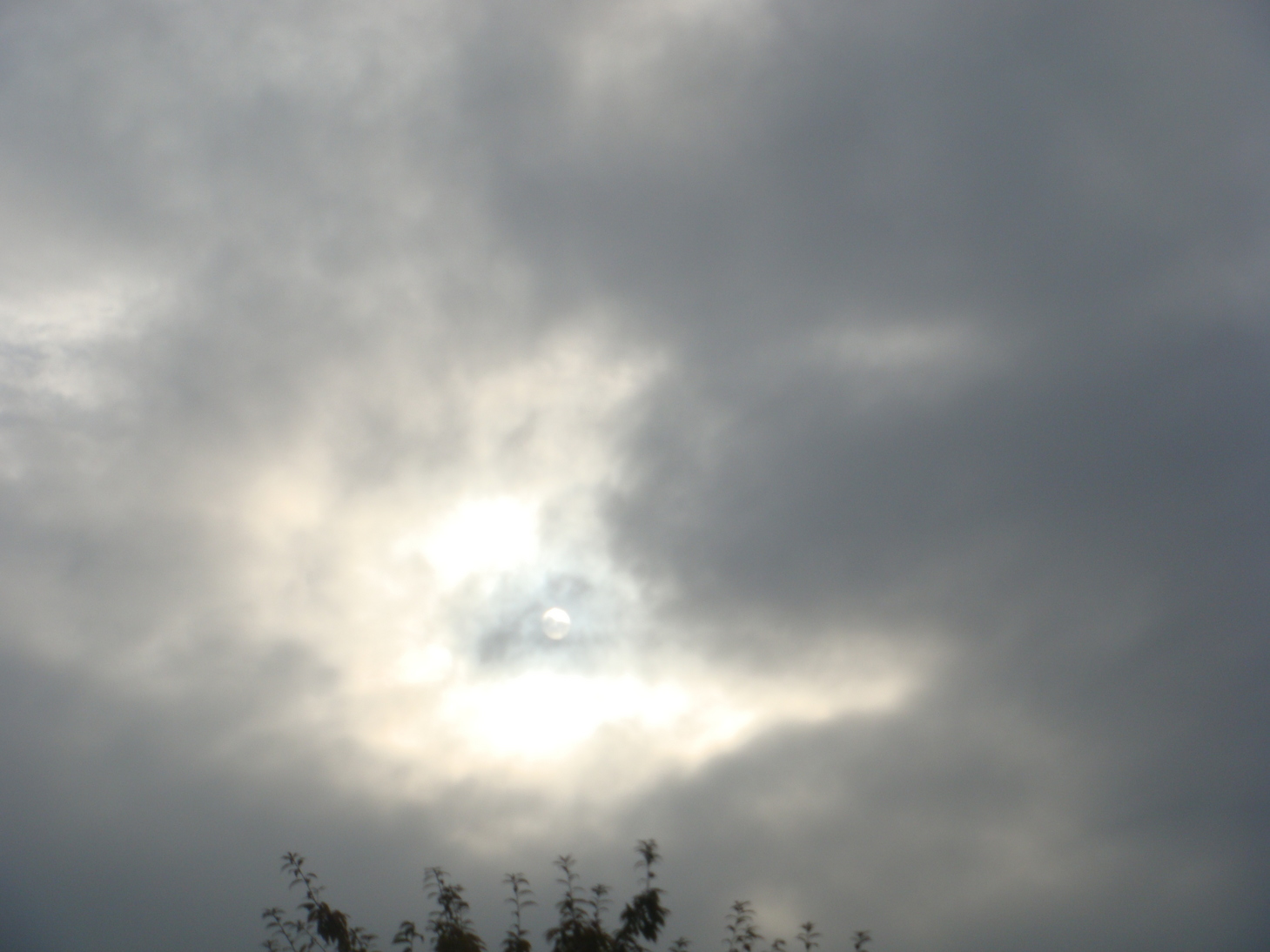 �{���Č����L