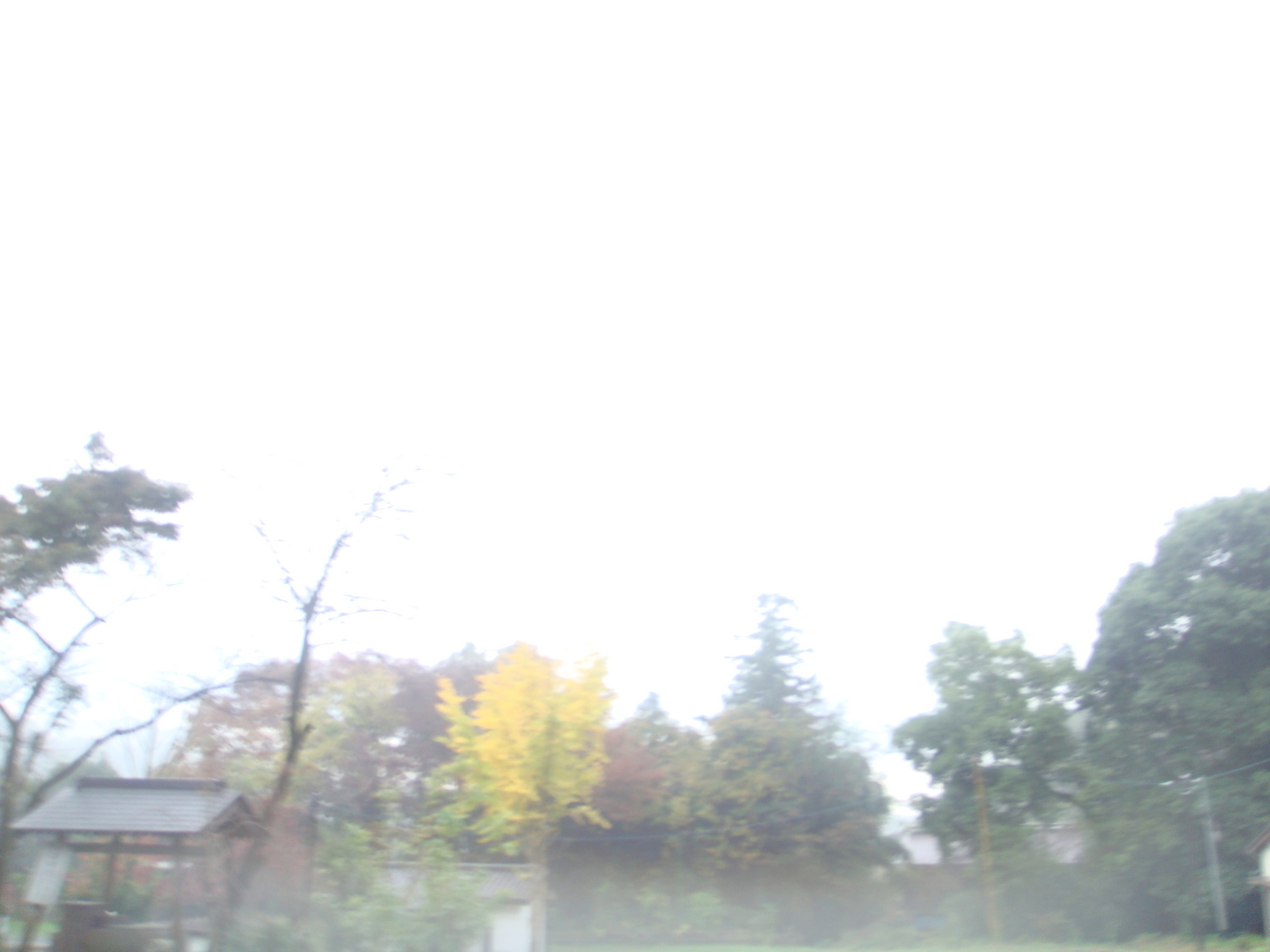 �{���Č����L