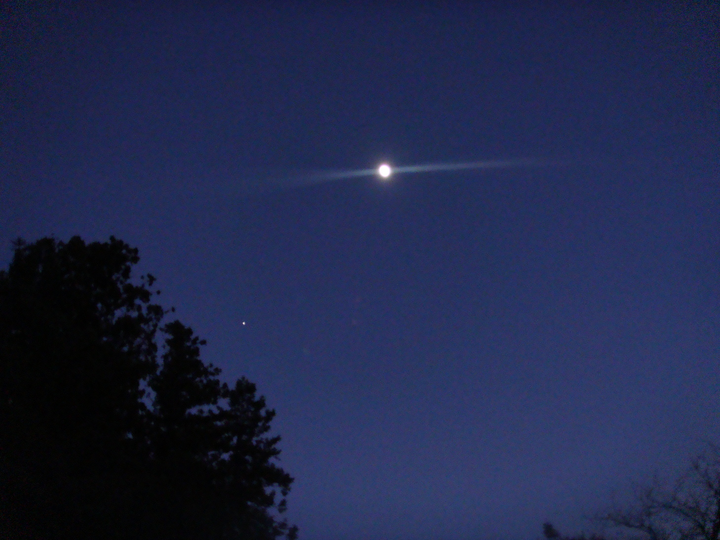 �{���Č����L