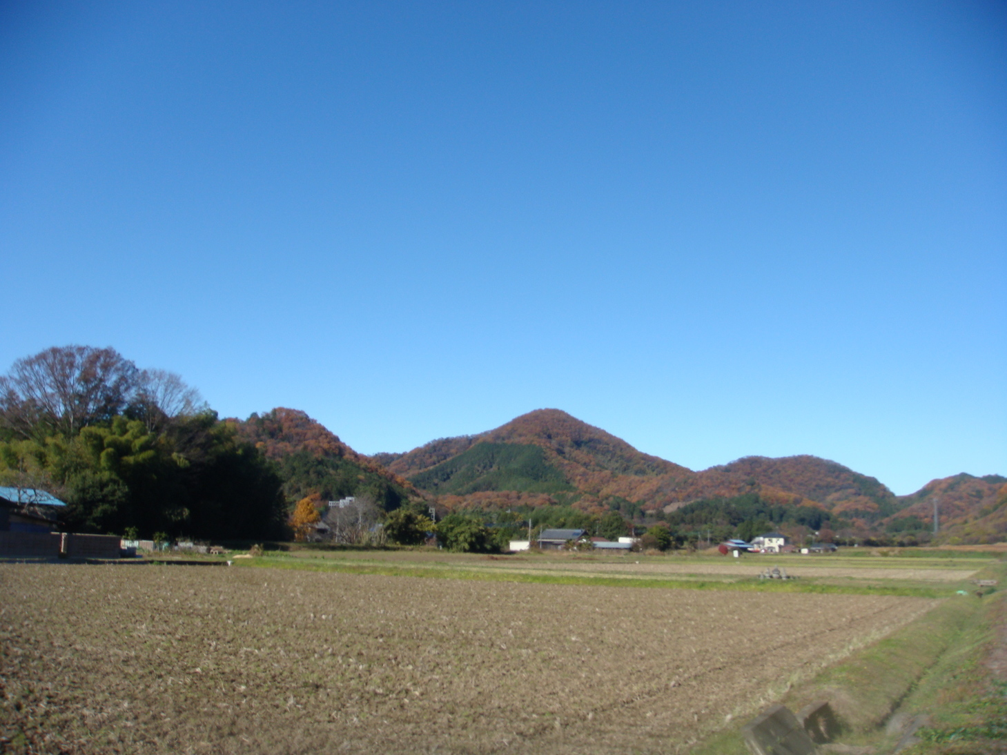 �{���Č����L