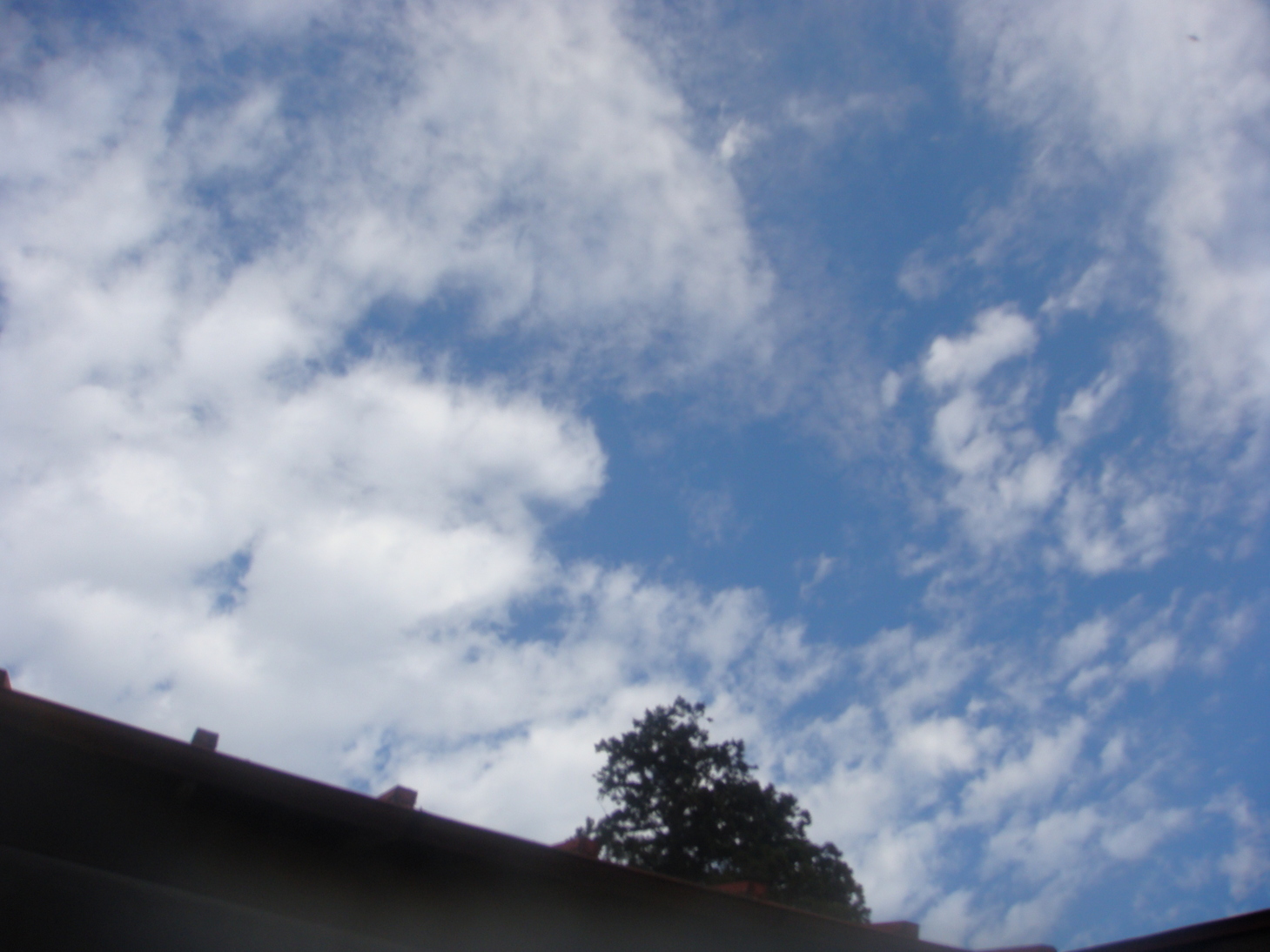 �{���Č����L