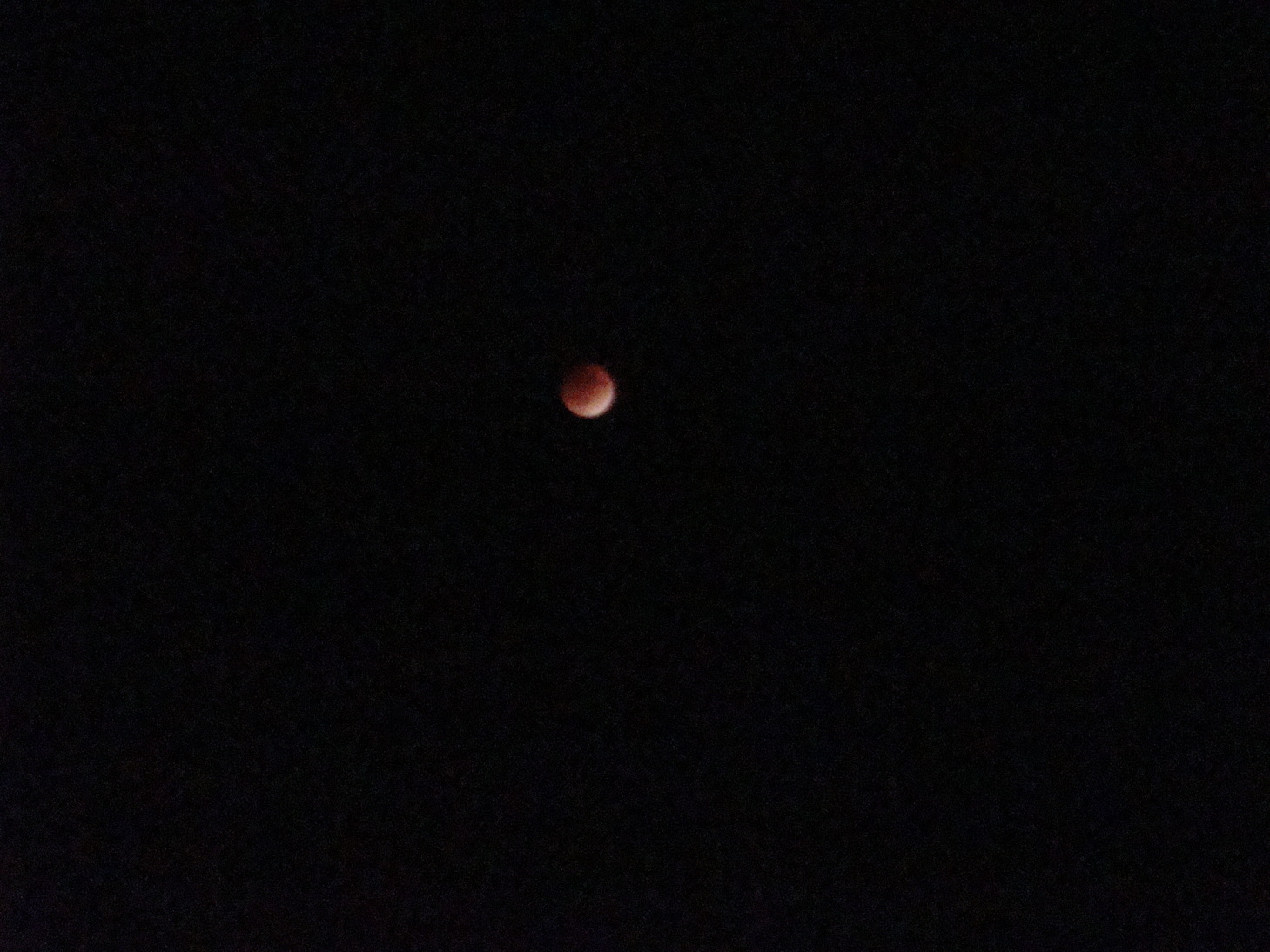 �{���Č����L