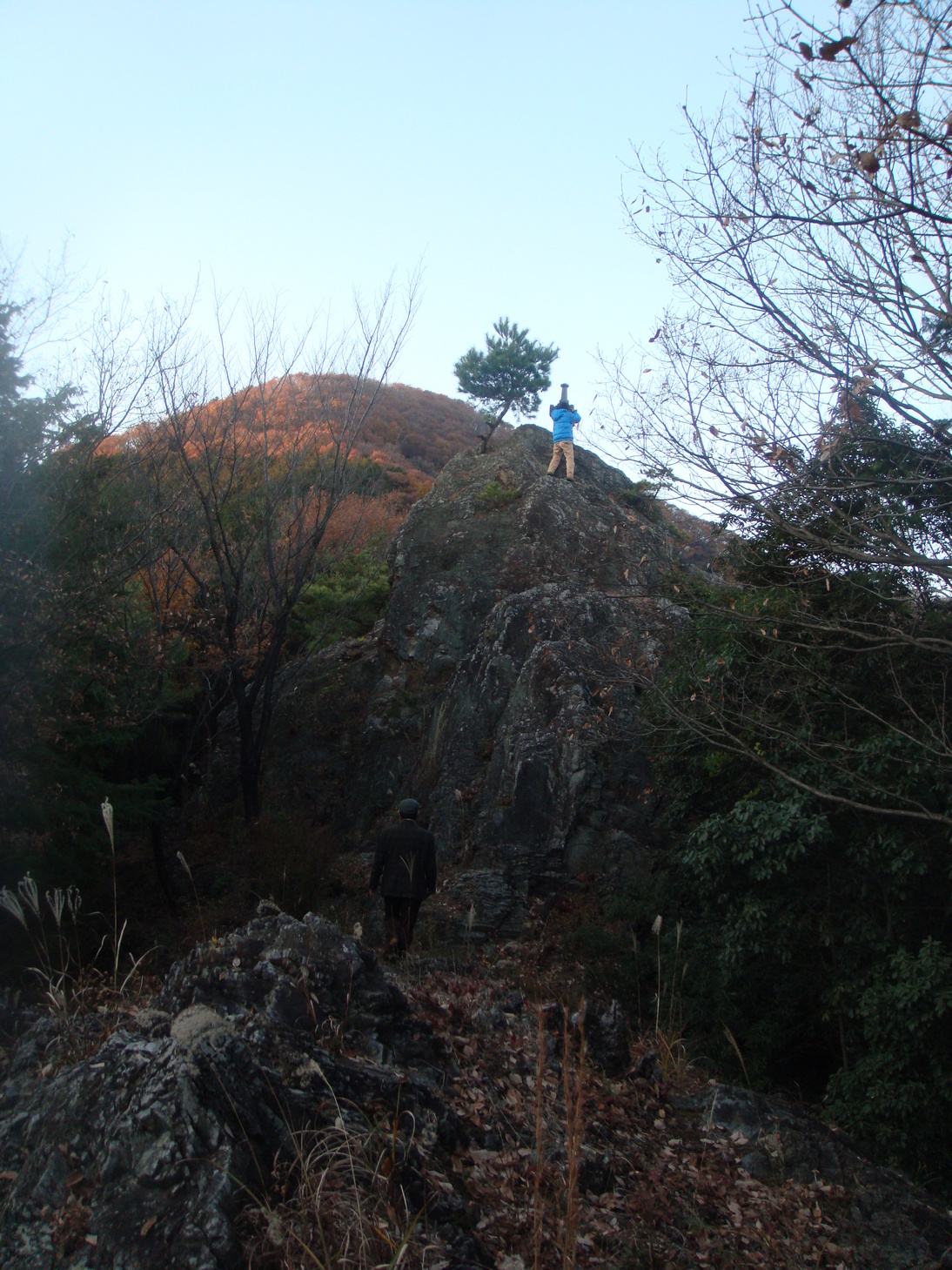 �{���Č����L