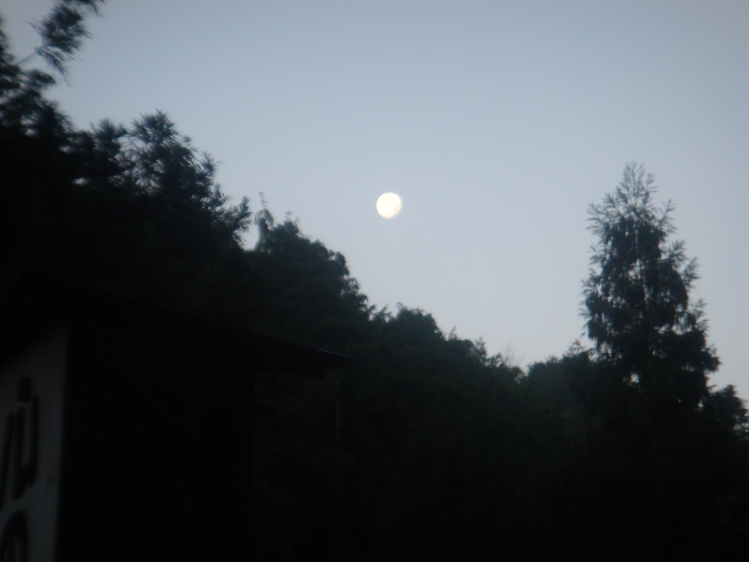 �{���Č����L