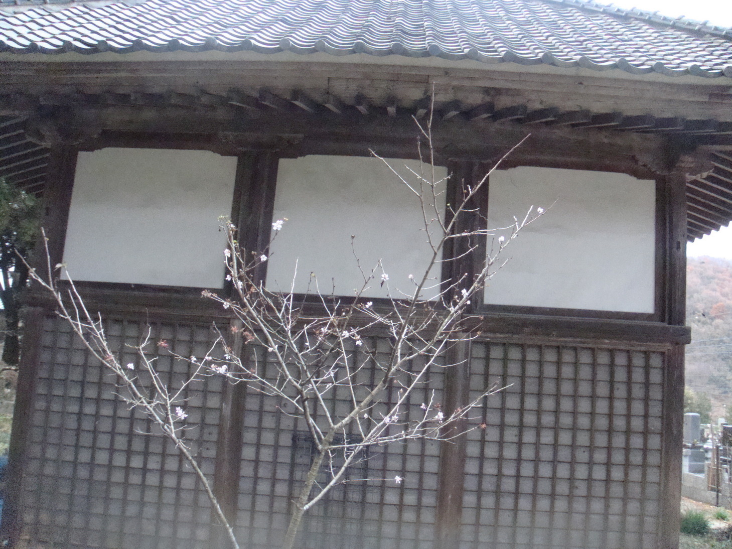 �{���Č����L