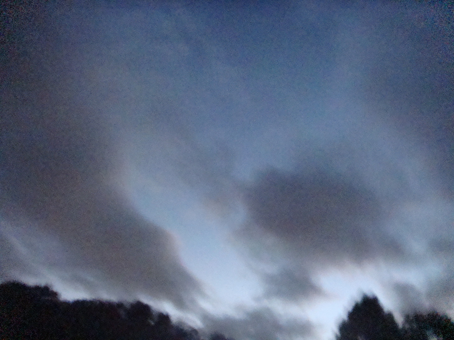 �{���Č����L