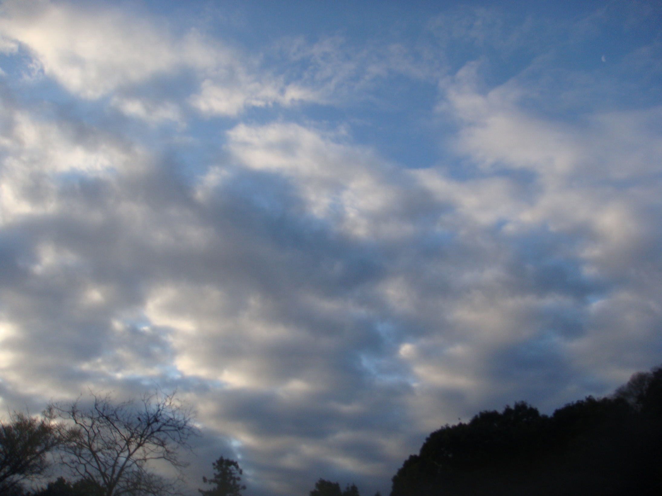 �{���Č����L