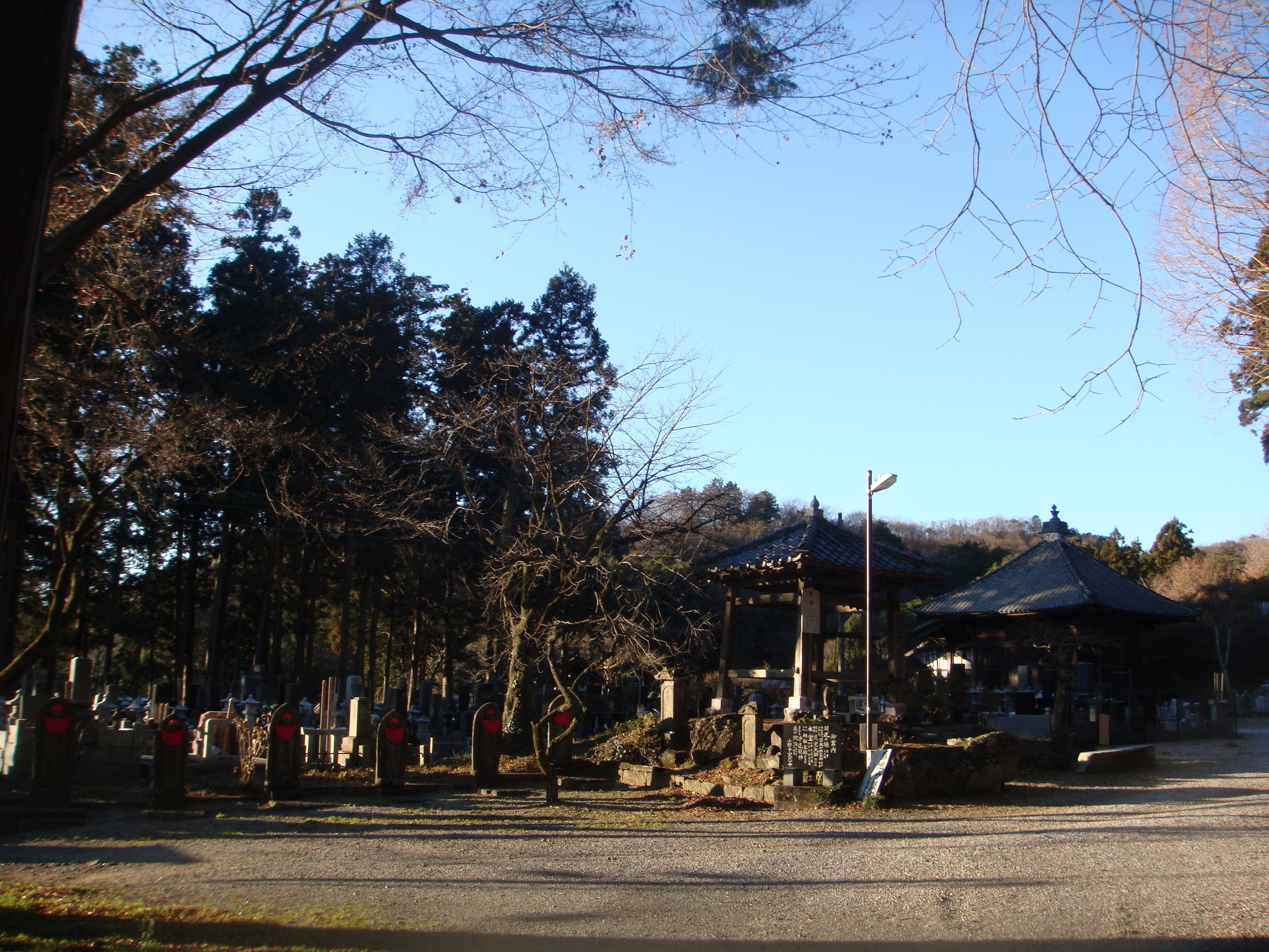 �{���Č����L