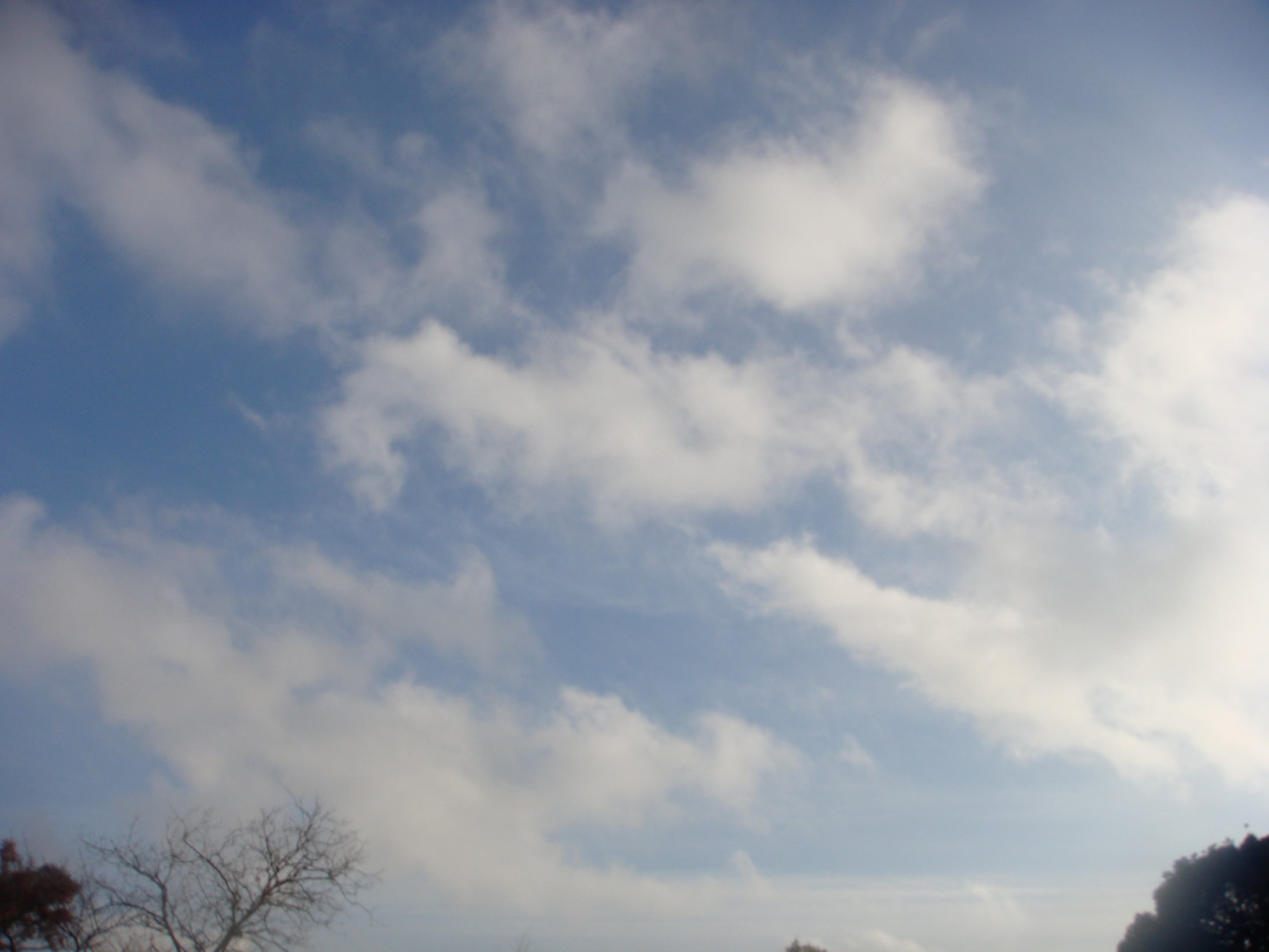 �{���Č����L