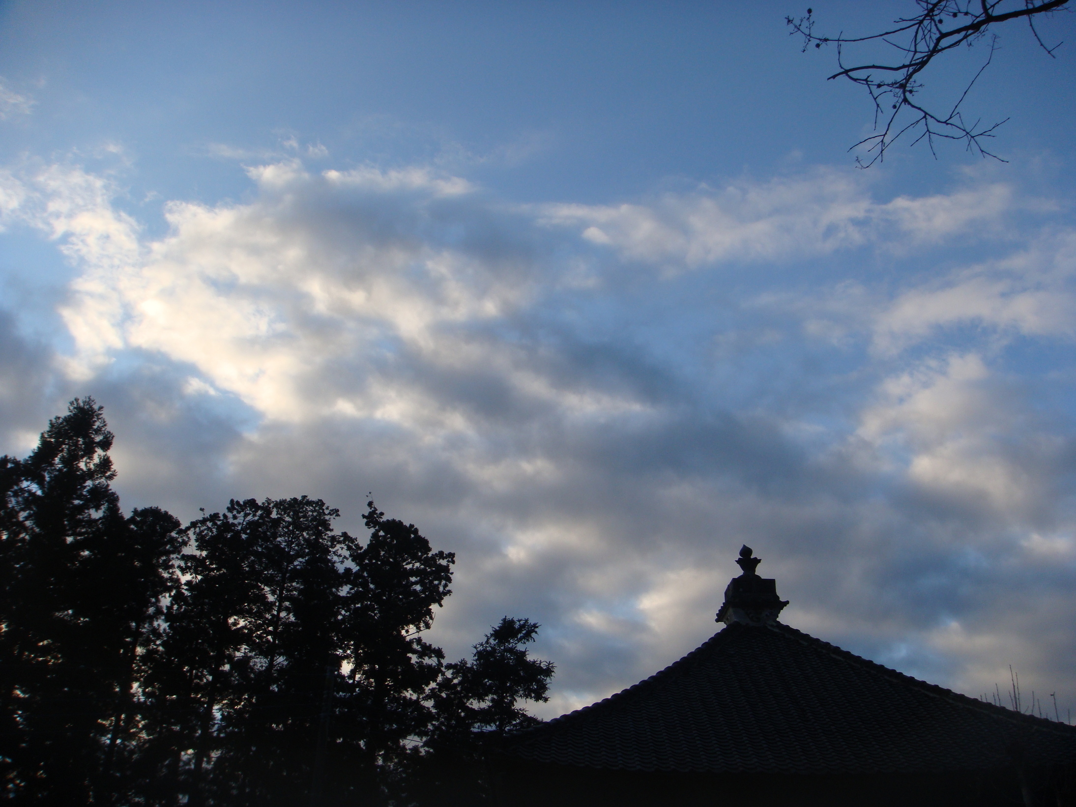 �{���Č����L