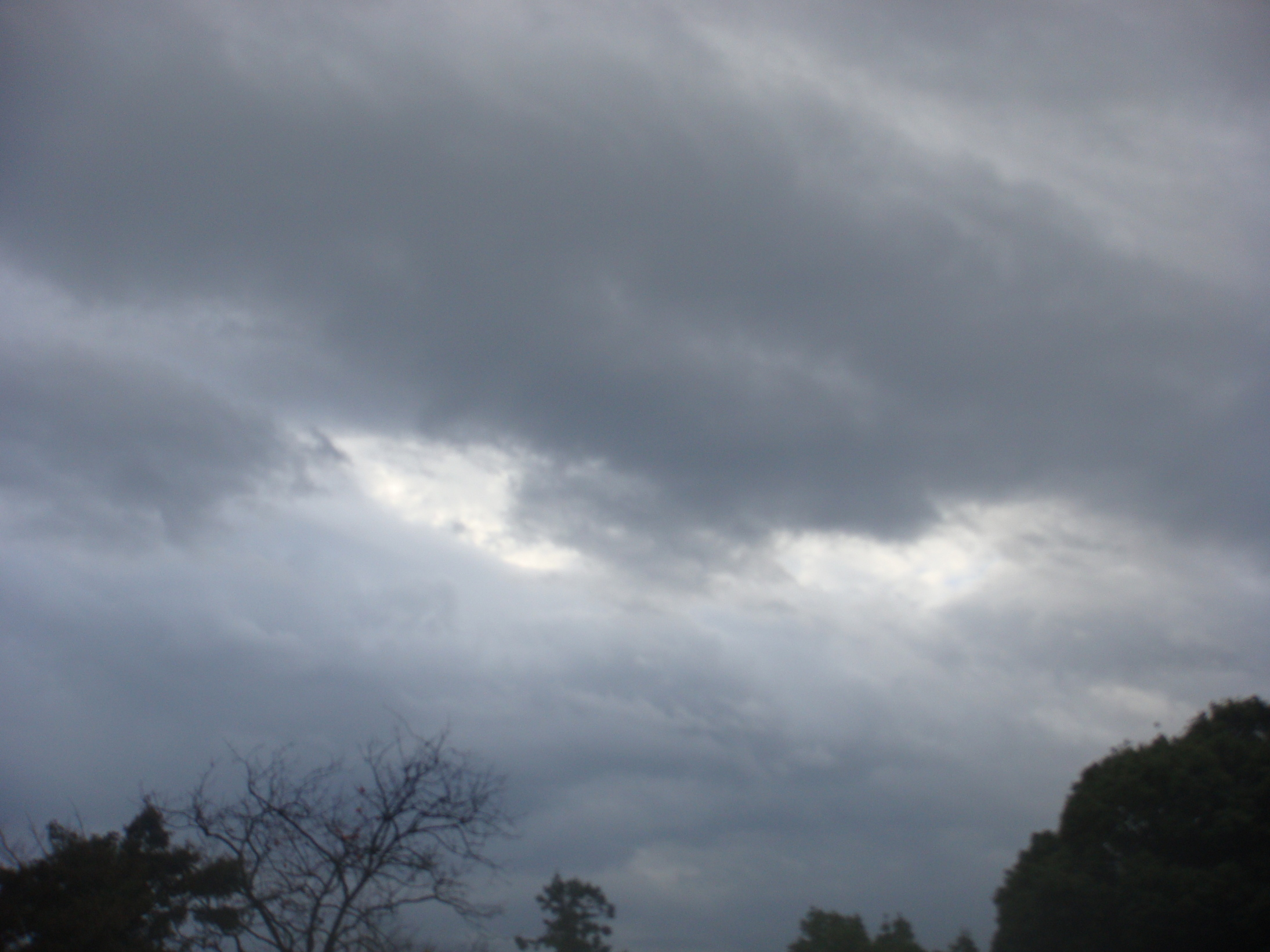 �{���Č����L